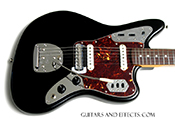 black jaguar