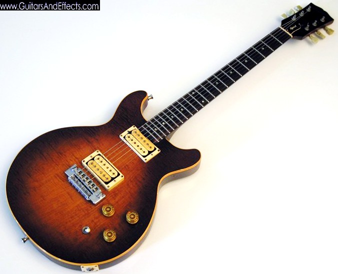 epiphone_usa_spirit_005.jpg