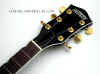 1gretschblackJR 011.jpg (72982 bytes)