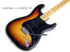fender_s9tremsbstratocaster 001.jpg (77349 bytes)