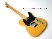 1fenderDLXblT_026.jpg