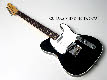 1fenderBLtcustom_019.jpg